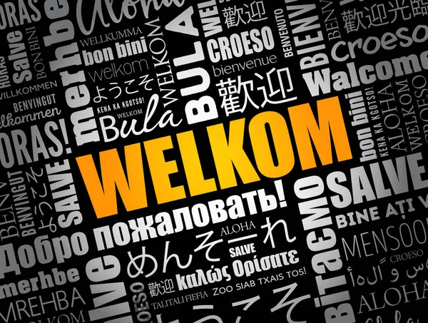 Welkom Welcome Afrikaans Nuvem Palavras Diferentes Idiomas —  Vetores de Stock