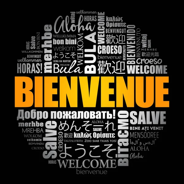 Bienvenue Welcome French Word Cloud Different Languages — Stock Vector