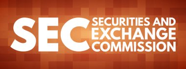 SEC - Menkul Kıymetler ve Borsa Komisyonu kısaltması, iş konsepti geçmişi