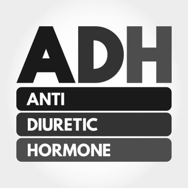 ADH - Antidiüretik hormon kısaltması, kavram arka planı