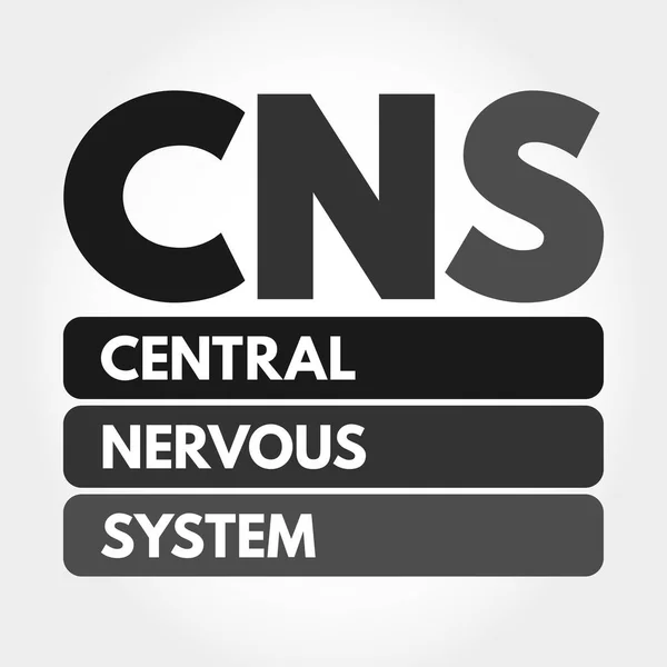 Cns Sistema Nervoso Central Sigla Fundo Conceito Médico —  Vetores de Stock