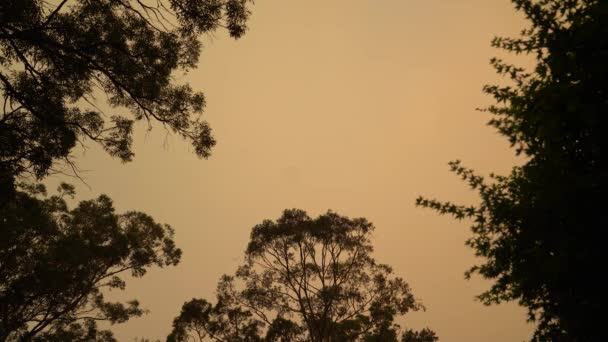 Oranje kleur hemel in Australië vanwege bosbranden. — Stockvideo