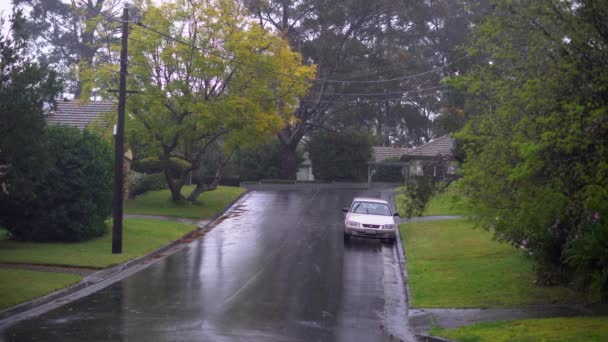 Een asfaltweg in een buurt tijdens de regen. — Stockvideo