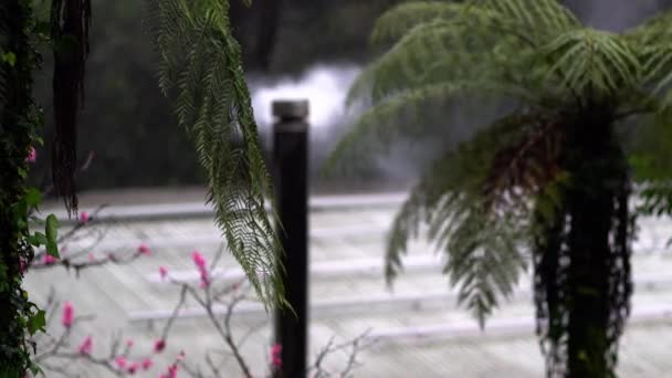 Une fumée de cheminée encadrée par des sapins .