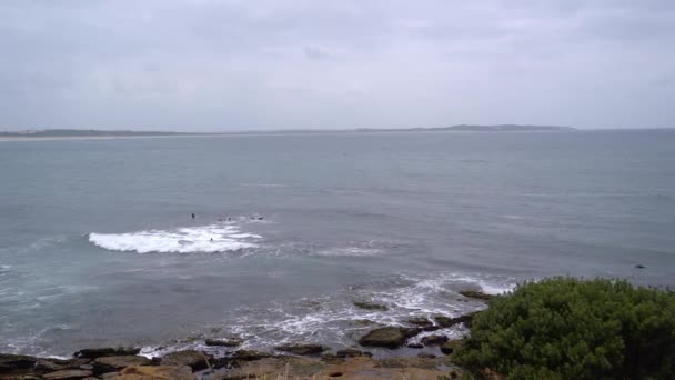 Sörfçüler okyanusta dalgalar bekliyor.. — Stok video