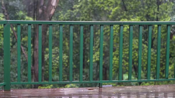 Barandilla de pintura verde y cubierta de madera bajo la lluvia . — Vídeos de Stock
