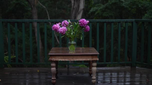 Masanın üstündeki vazoda yağmurun altında şakayık çiçekleri. — Stok video