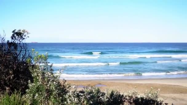 Blick auf einen Sandstrand mit Meereswellen — Stockvideo