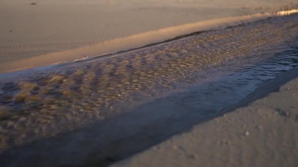 Ruisseau d'eau douce coule à travers les bancs de sable — Video