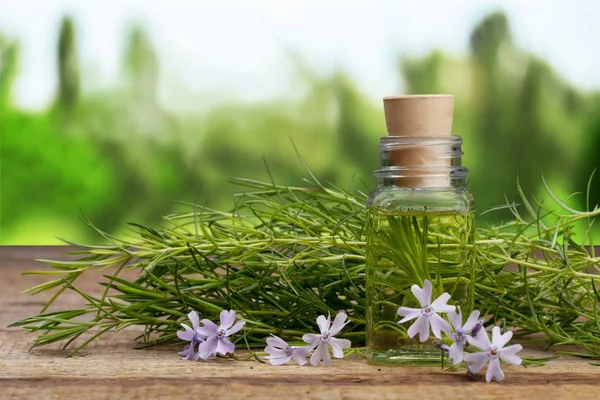 Botella de aceite y hierbas verdes — Foto de Stock