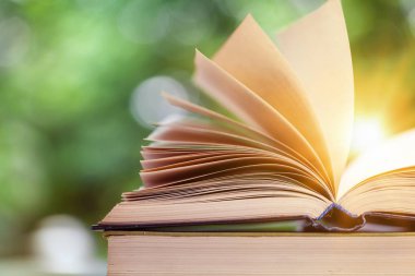 Açık renkli izole masada açık kitap