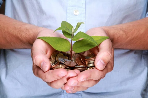 Planten groeien uit munten - geïsoleerd beeld — Stockfoto