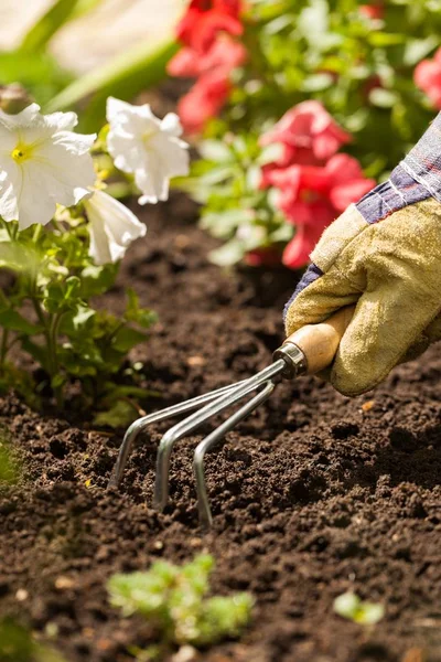 Giardinaggio. — Foto Stock