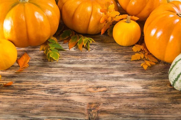 广告和秋天的概念 关闭南瓜和叶子在木制桌子上的家 — 图库照片