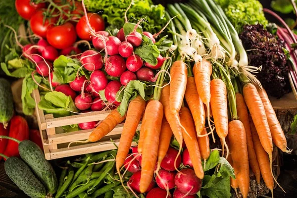 Organic vegetables, carrots,  lettuce, radish