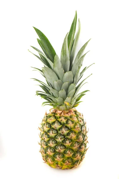 Świeży ananas cały — Zdjęcie stockowe