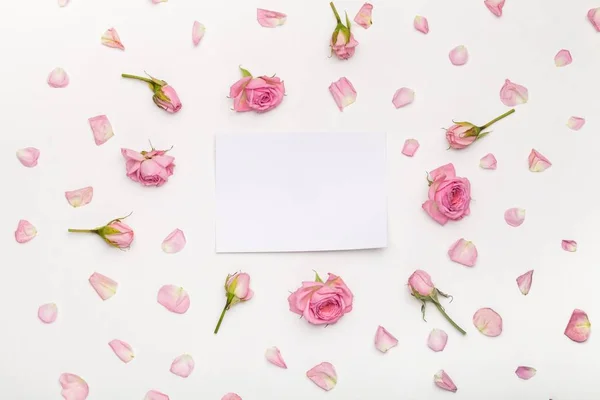 Fiori e carta . — Foto Stock