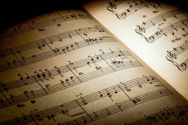 Hojas con notas musicales — Foto de Stock