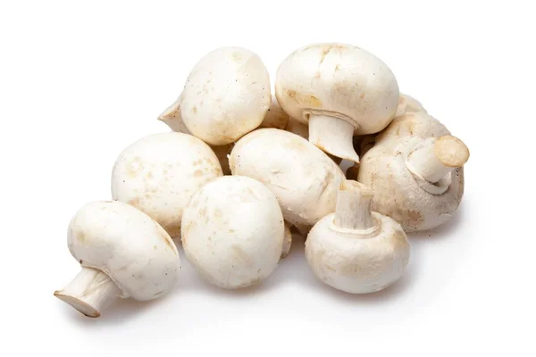 Champignons 버섯 — 스톡 사진