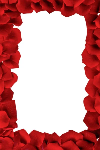 Cadre avec pétales de roses rouges - Isolé — Photo