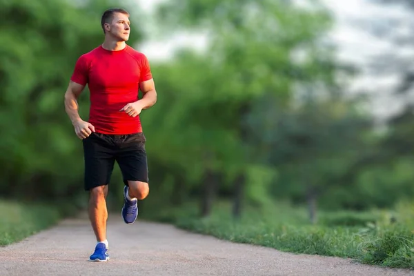 Lauf. — Stockfoto