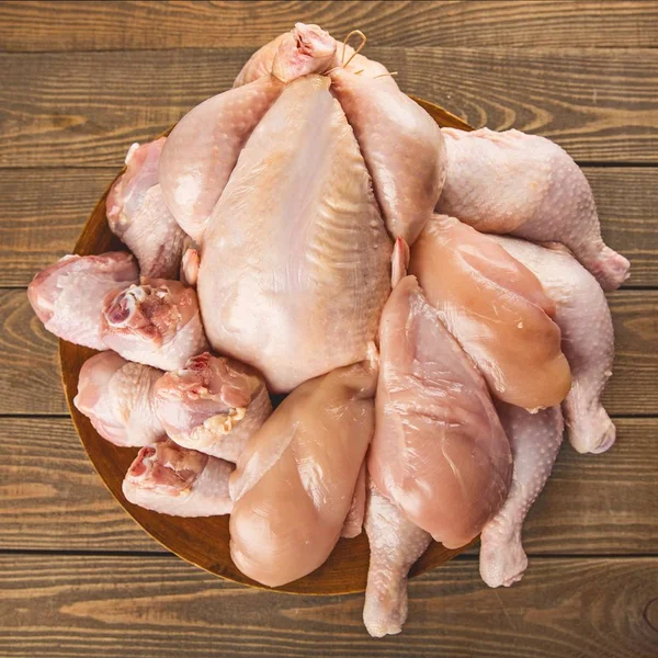 Kyckling. — Stockfoto