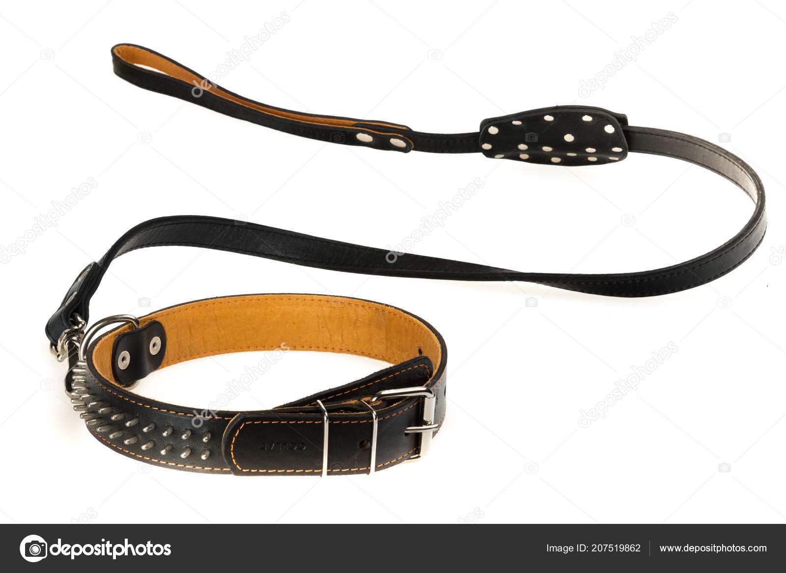 black dog collar and lead