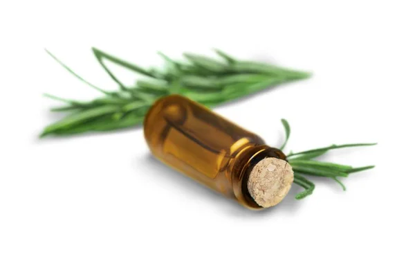 Rosemary essential oil — Stock Photo, Image