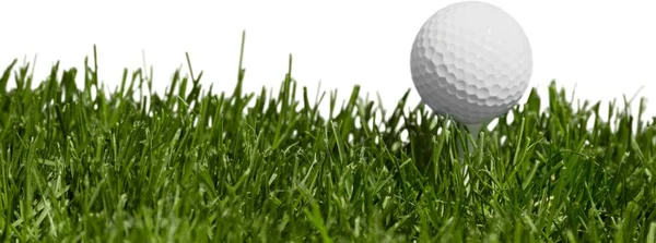 Golf Ball Tee Groen Gras — Stockfoto