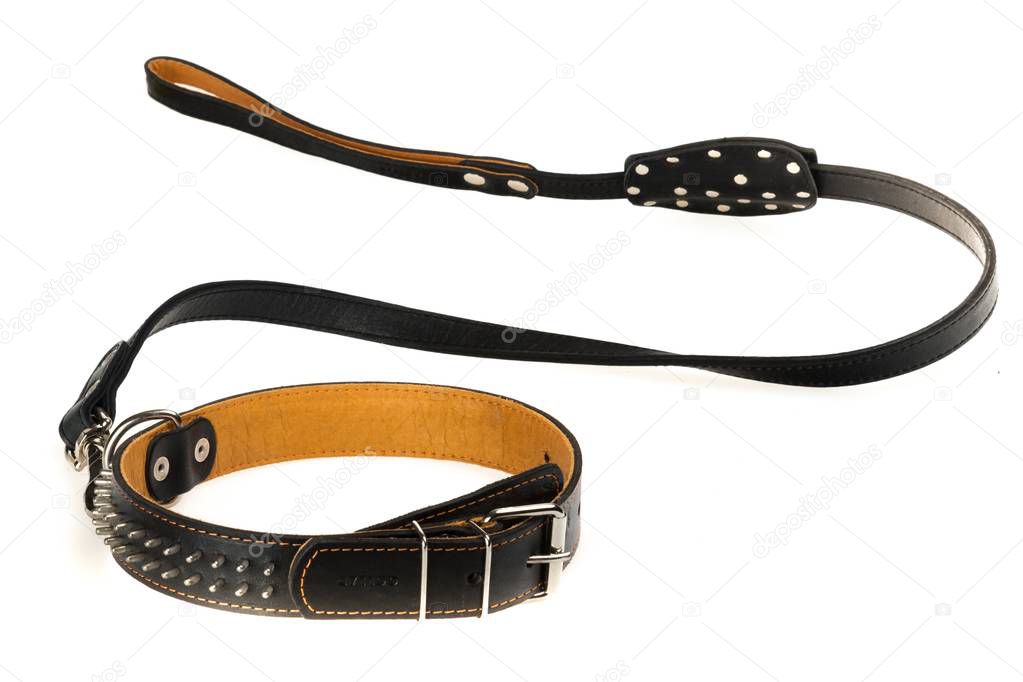 Black Dog Collar and Leash on a White Background