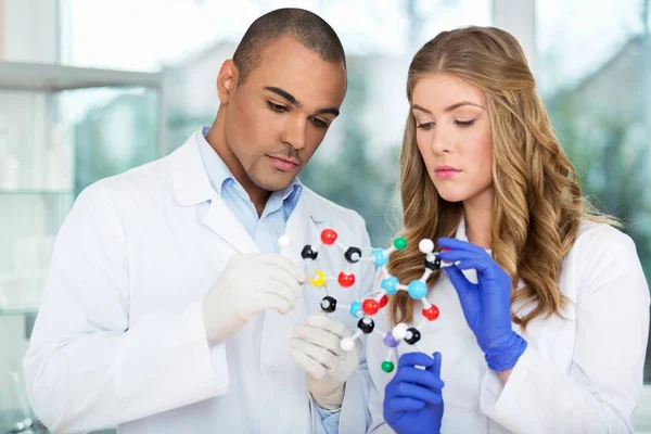 Investigadores Salud Trabajando Laboratorio Ciencias Vida Con Modelo Molecular —  Fotos de Stock