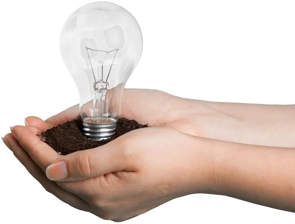 Lightbulb växer - idéer koncept — Stockfoto