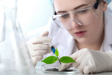 bilim laboratuarında.