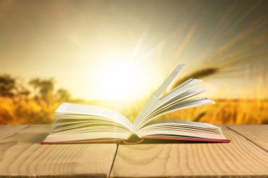 Açık renkli izole masada açık kitap