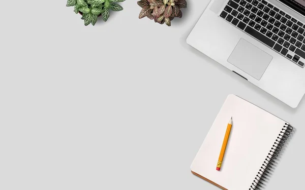 Desktop flat lay , laptop, pot plants, notebook and pencil