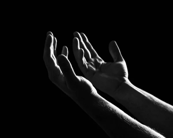 Hand pray. Stock Picture
