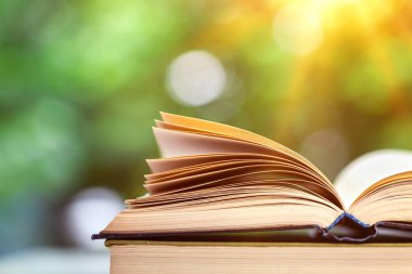 Açık renkli izole masada açık kitap
