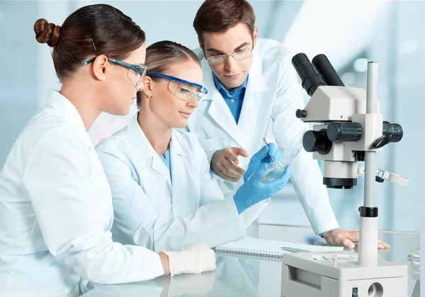 Científicos Femeninos Masculinos Gafas Que Trabajan Con Microscopio —  Fotos de Stock