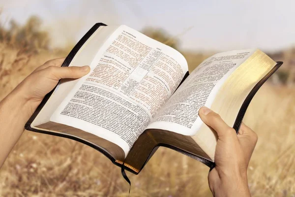 Manos Persona Sosteniendo Libro Sagrado Biblia — Foto de Stock