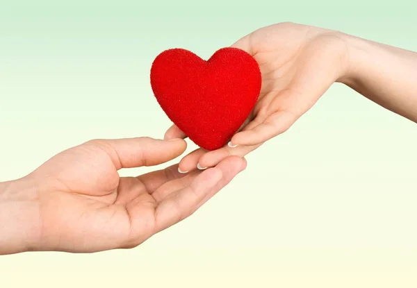 Heart Shape Human Hand Mercy Women Valentines Day Helping Hand — Stock Photo, Image