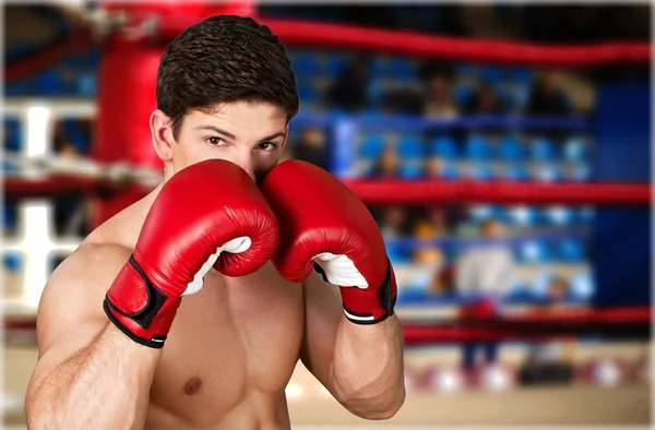 Boxing. — Stock Photo, Image