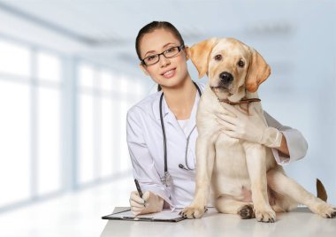 hafif bir arka plan üzerinde bir köpek ile kadın genç hayvan hastalıklarıyla ilgili