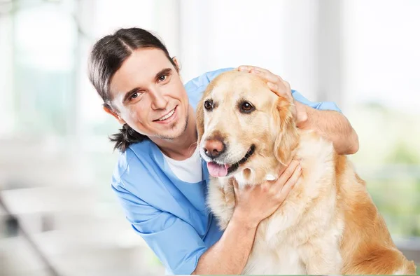 Veterinární lékař. — Stock fotografie