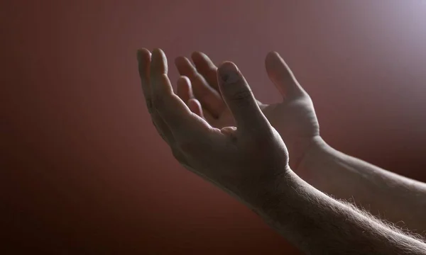 Hands Human Praying Close View — Stock Photo, Image