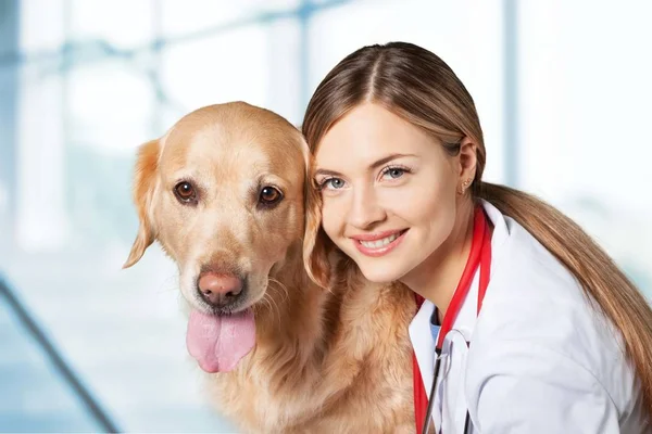 Kvinnliga Unga Veterinären Med Hund Ljus Bakgrund — Stockfoto