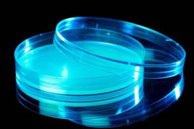Empty Petri dish on dark background  clipart