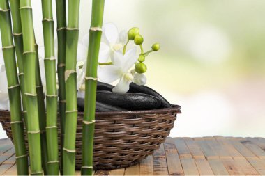 Zen taşlar ve bambu