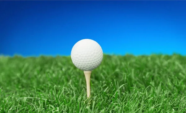 Мячик Гольфа Зеленой Траве — стоковое фото