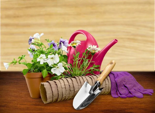Gardening equipment. — Stock Photo, Image