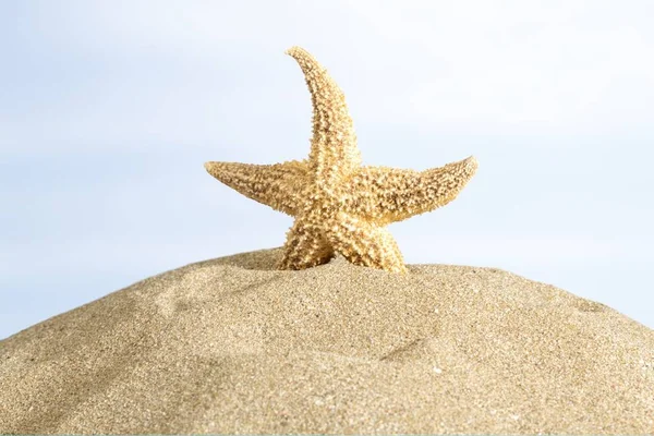一个在沙滩上的海星 — 图库照片